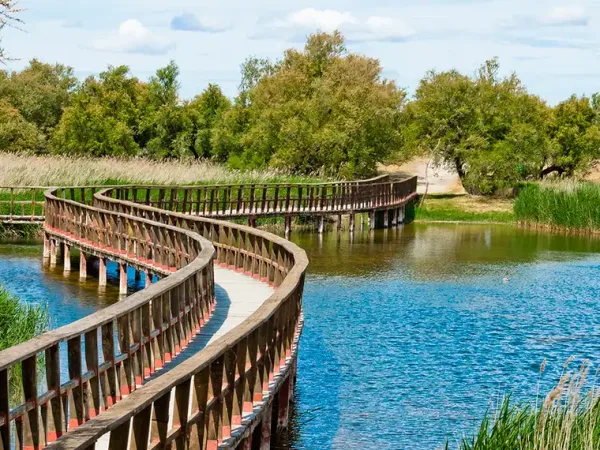 Pasarela de madera serpenteante sobre una zona húmeda rodeada de vegetación, en un entorno natural con cielo despejado y árboles al fondo, perteneciente al parque nacional de las Tablas de Daimiel.