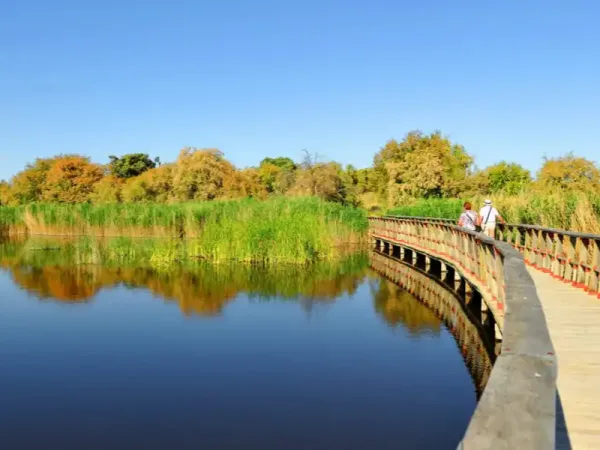Pasarela de madera sobre una laguna tranquila, rodeada de juncos y árboles con tonos otoñales, en el parque nacional de las Tablas de Daimiel, con dos personas caminando en el recorrido.